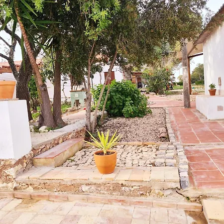 Ferienhaus Casa Do Avo Antonio Bensafrim