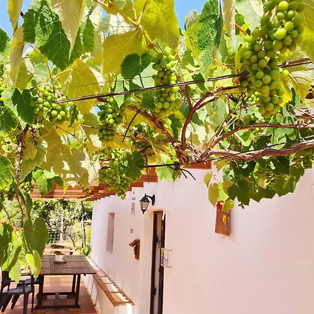 Ferienhaus Casa Do Avo Antonio