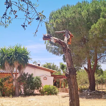 Hébergement de vacances Casa Do Avô António