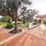 Casa Do Avo Antonio Holiday home