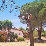 Holiday home Casa Do Avo Antonio