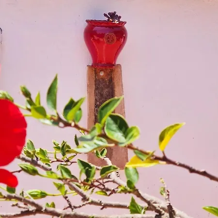 Holiday home Casa Do Avo Antonio Bensafrim