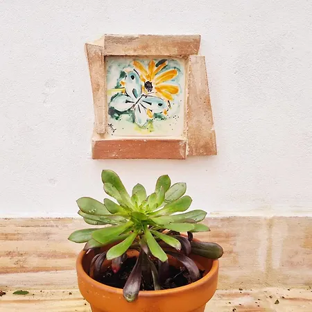 Casa Do Avo Antonio * Bensafrim