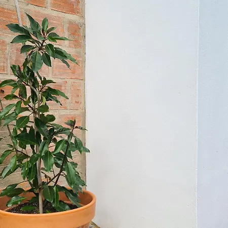 בית נופש Casa Do Avo Antonio *