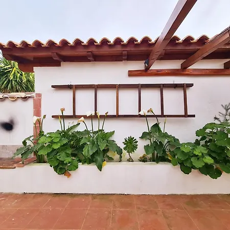 Casa Do Avo Antonio * Bensafrim