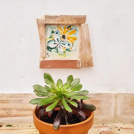 Casa Do Avô António *