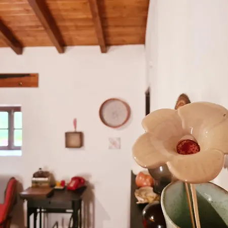 Casa Do Avô António Bensafrim